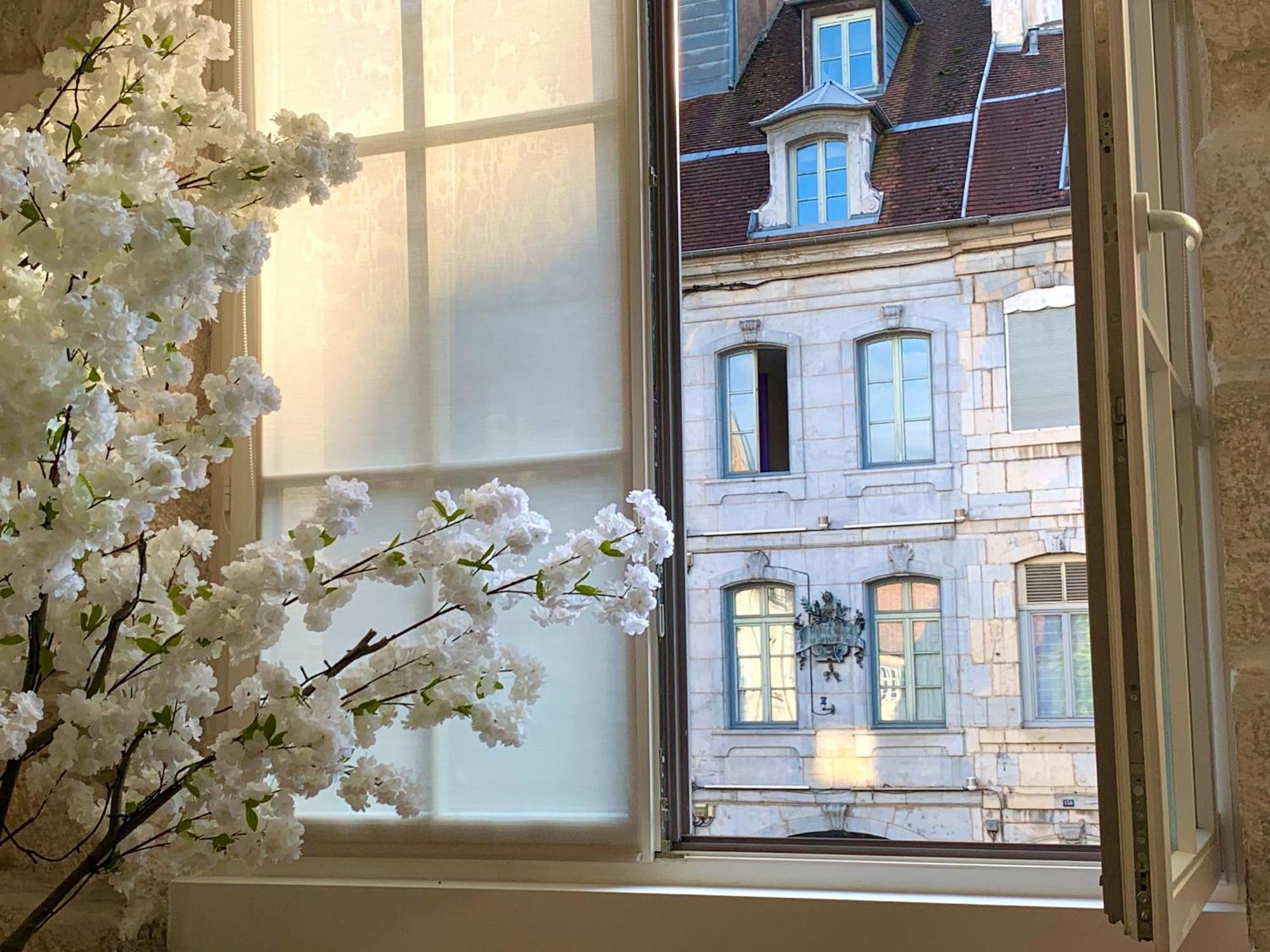 Les Fabuleux Appartements Du Coeur De Ville - Place Victor Hugo Besançon Exterior foto